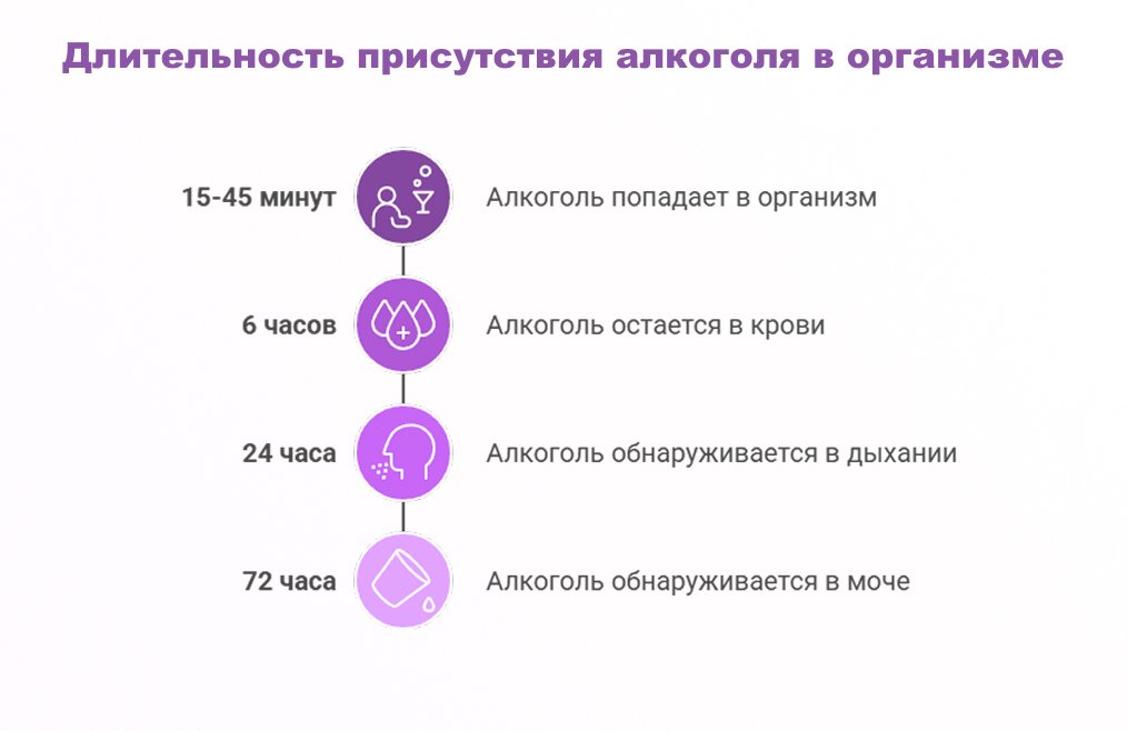 Инфографика алкоголи и организм Длительность присутствия алкоголя в организме